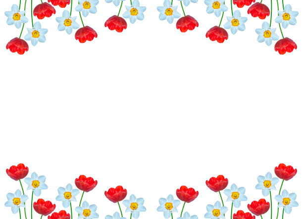 春天的花是水仙花和郁金香图片下载