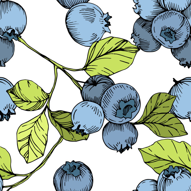 矢量蓝莓绿和蓝色雕刻水墨艺术。浆果和绿叶。无缝的背景图案。图片下载