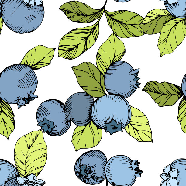 矢量蓝莓绿和蓝色雕刻水墨艺术。浆果和绿叶。无缝的背景图案。图片下载