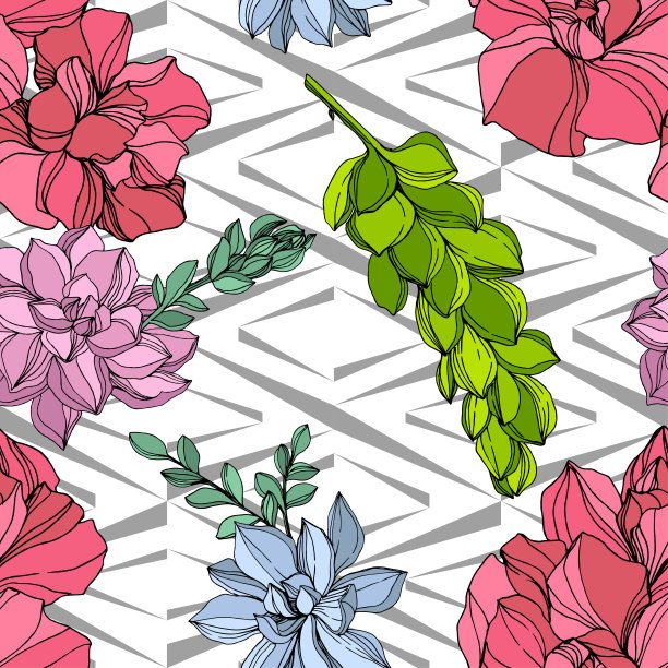 矢量丛林植物肉质花。雕刻水墨艺术插画。无缝的背景图案。图片下载