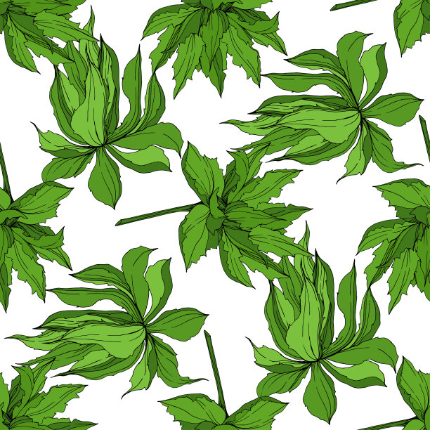 矢量丛林植物肉质花。雕刻水墨艺术插画。无缝的背景图案。图片下载