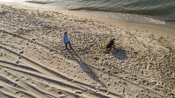 55岁的成熟、活跃、迷人的女人和她的大狗泽嫩猎犬在阳光明媚的秋日波罗的海的沙滩上玩耍。天线倾角的照片。图片下载