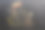 滑稽的土豆，比利时国旗和贻贝画在黑板上图片下载