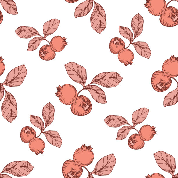 矢量蓝莓黑和珊瑚雕刻水墨艺术。浆果和树叶。无缝的背景图案。图片下载