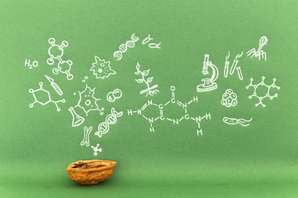 简单地说就是生物学的概念图片下载