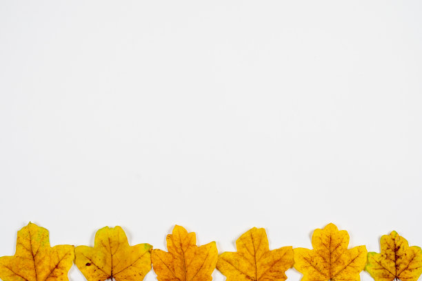 白色背景上的秋天作文。空白纸框着秋天生锈的橙色树叶。俯视图，复制空间，平放。图片下载