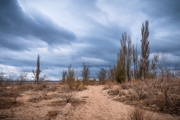 美丽的秋天风景-沙滩的海湾与树木和灌木丛在一个多云的日子图片下载