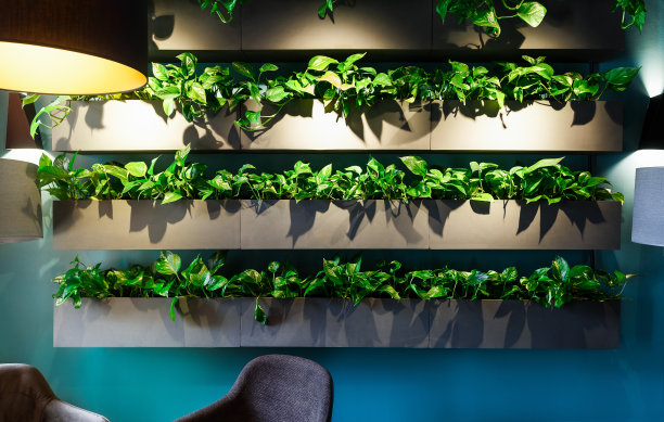 自然的室内在现代咖啡馆与绿色植物区图片下载