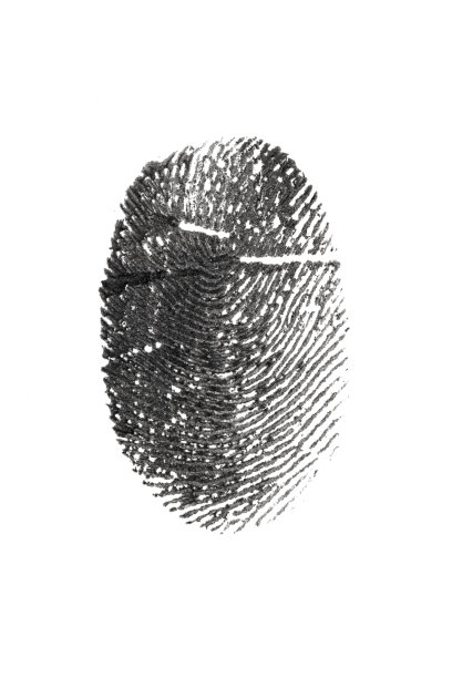 指纹图案孤立在白色图片下载