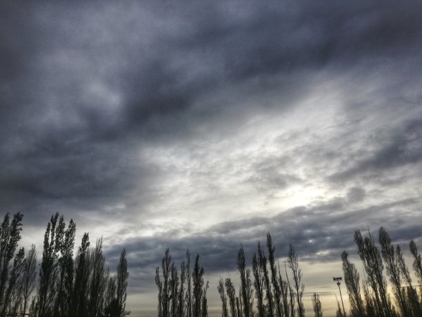 城市景观Neuquén图片下载