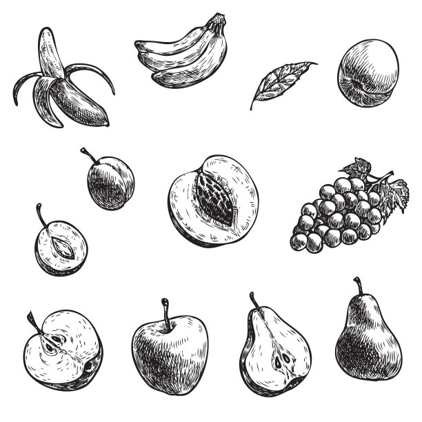 香蕉、苹果、梨、李子等手绘新鲜水果矢量插画有机食品图片下载