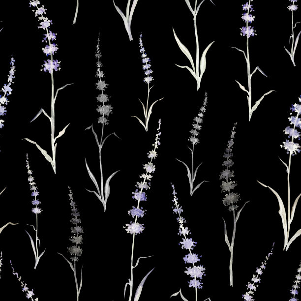 无缝图案上的抽象植物呈黑色图片下载