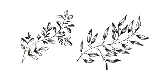 花涂鸦的叶子孤立在白色的背景。图片下载