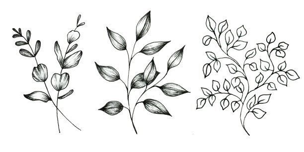 花涂鸦的叶子孤立在白色的背景。图片下载