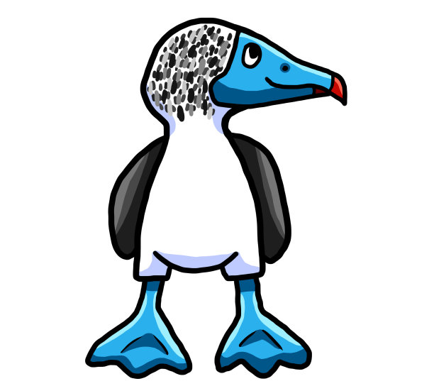 蓝脚鲣鸟图片下载