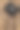 皮包里的复古相机图片下载