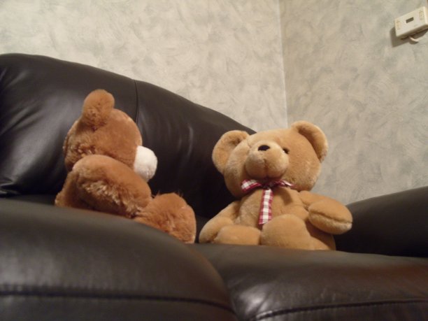 泰迪熊在客厅的沙发上开会(政治幽默)图片下载