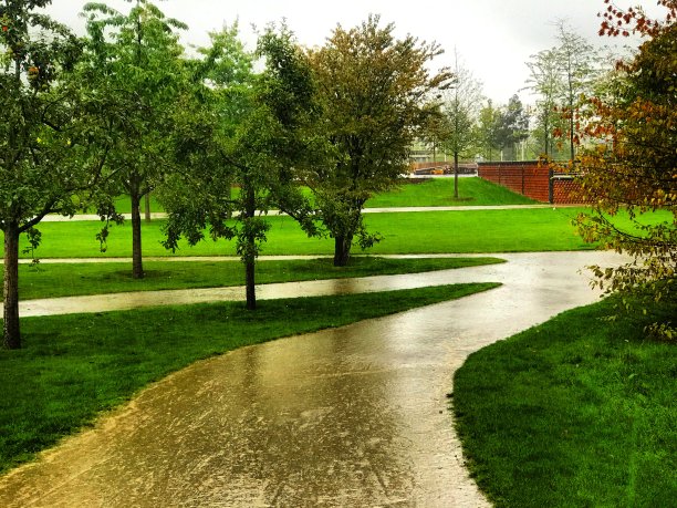 雨雨雨图片下载
