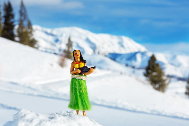 雪地里的草裙舞舞者图片下载