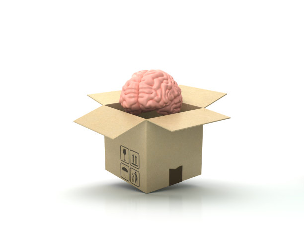 人脑纸板箱- 3D渲染图片下载