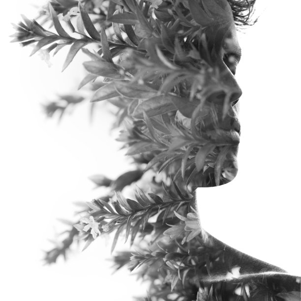 一个年轻英俊男子的侧面肖像的双重曝光与热带树叶混合，在孤立的白色背景图片下载