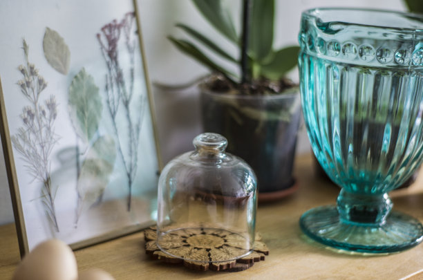 玻璃和酒瓶下的静物植物标本室图片下载