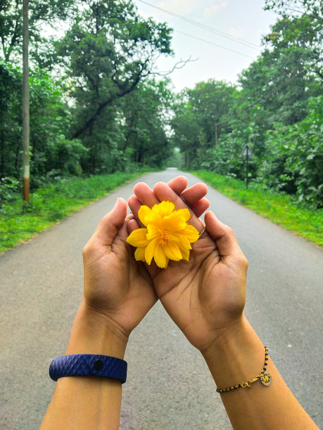 女孩用美丽的手捧着金盏花图片下载