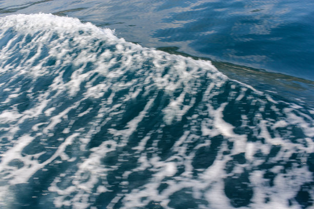 海里的一个浪。图片下载