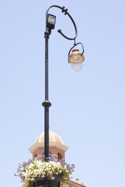 路灯花图片下载