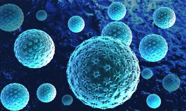显微镜下观察病毒、细菌、细胞感染的生物体图片下载