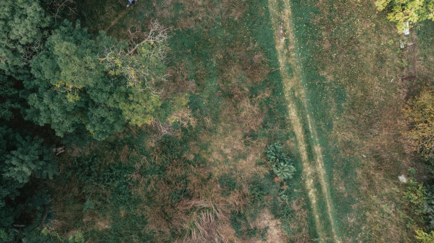 鸟瞰图，一条道路，一片绿色的森林。库存图片图片下载