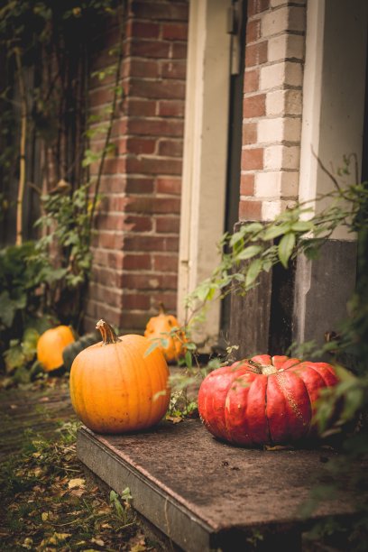 门阶上五颜六色的南瓜图片下载