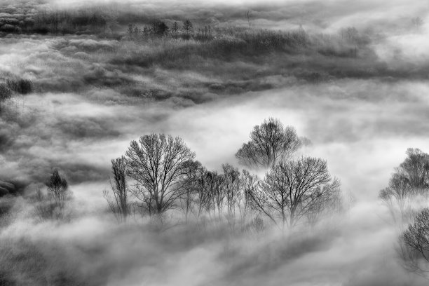 壮丽的日出之上的薄雾森林，意大利的风景图片下载