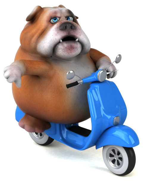 有趣的斗牛犬- 3D插图图片下载