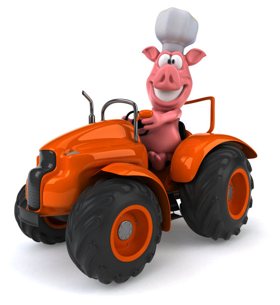 有趣的猪图片下载