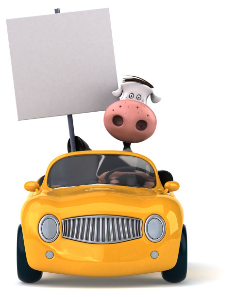 有趣的牛图片下载