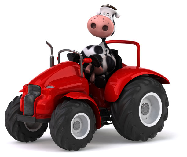 有趣的牛图片下载