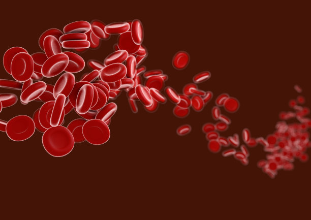 红血球流过动脉。图片下载