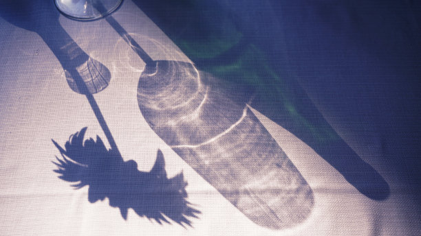 浪漫的休闲。桌布上有一瓶酒，一只玻璃杯和一朵花的影子。图片下载