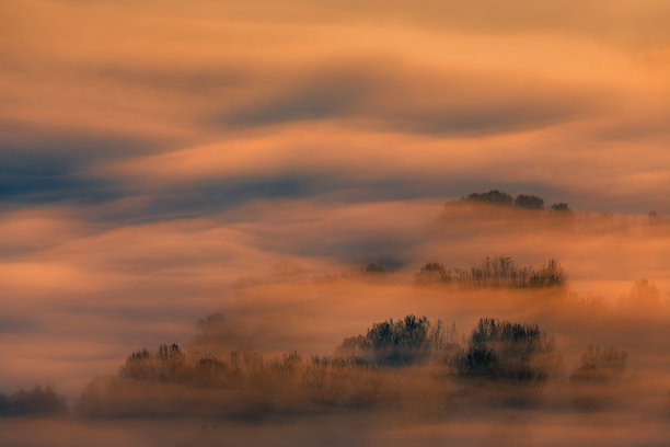 橙色的日出笼罩着雾蒙蒙的森林图片下载