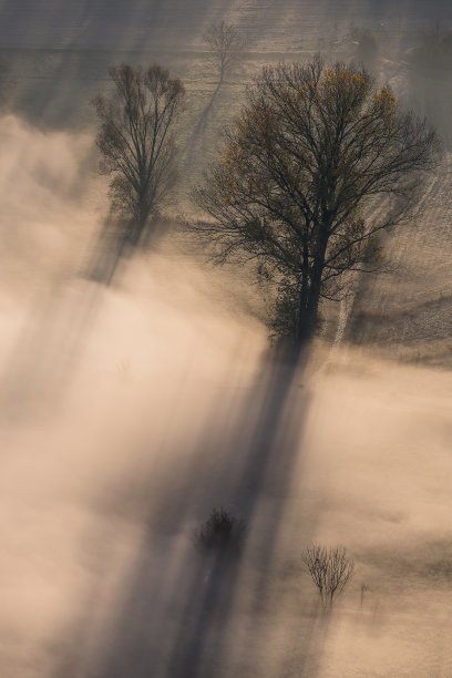 雾蒙蒙的景观图片下载