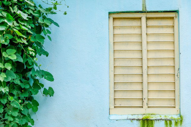 房子外面的窗户图片下载