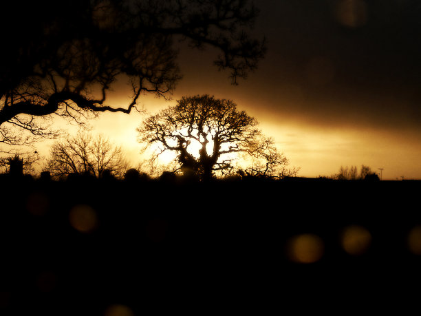 英国的夜晚图片下载