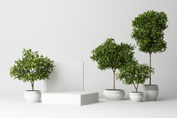 热带植物的3D渲染孤立在白色的背景。图片下载