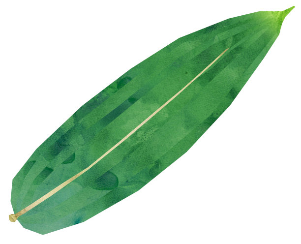 竹叶的插图图片下载