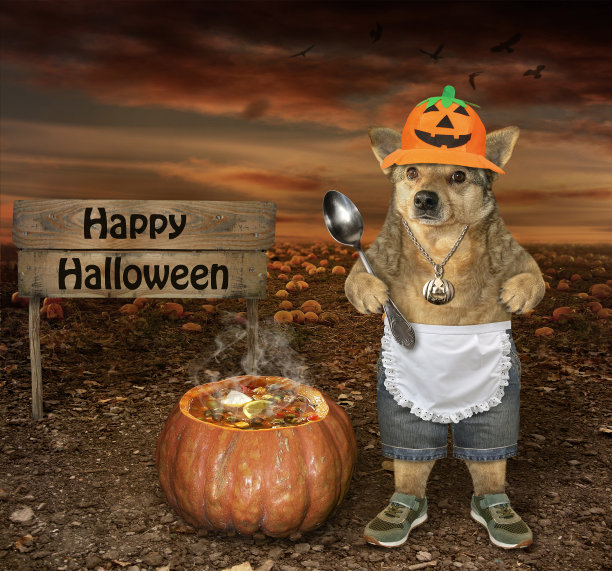 狗在煮魔法药水图片下载