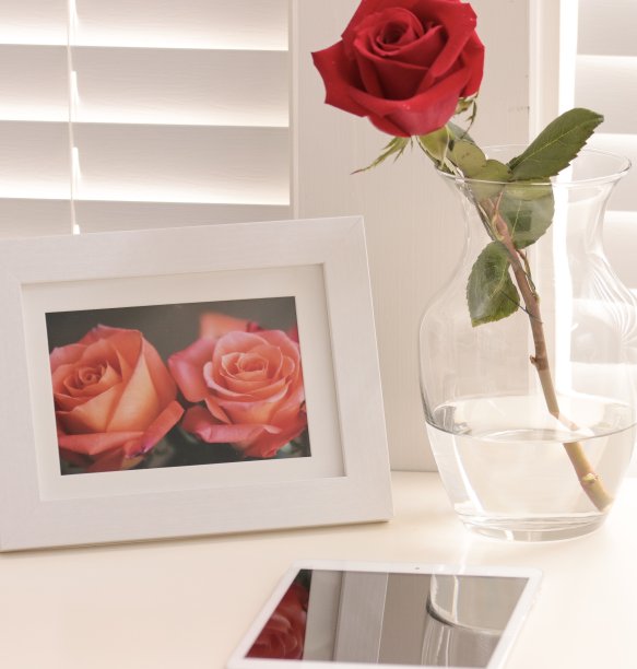 破旧别致的桌面上放着玫瑰图片下载