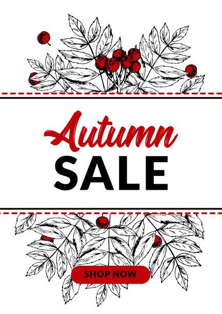 垂直手绘的秋天销售旗帜花月叶和浆果孤立在白色。矢量插图在素描风格。图片下载