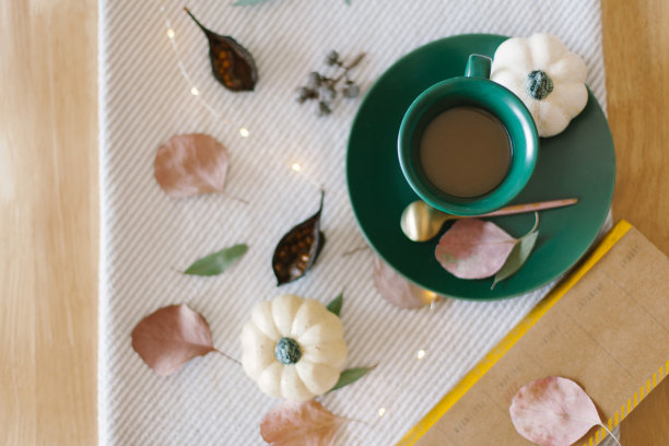 秋季的餐桌装饰用南瓜和桉树叶图片下载