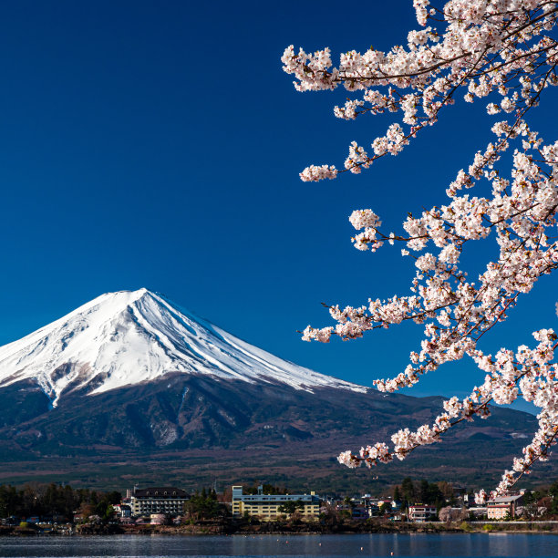 日本富士山上盛开樱花的春天。图片下载
